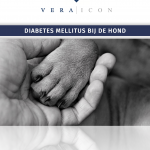 Diabetes mellitus bij de hond