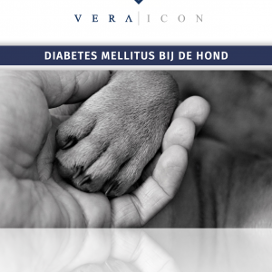 Diabetes mellitus bij de hond